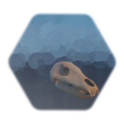 Bear Skull