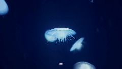 A screenshot taken in Dreams. 3 of 8.