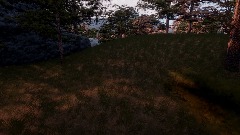 Isolis