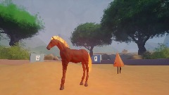 Dressage test excercise