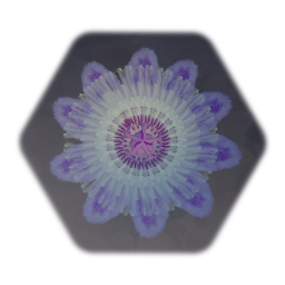 <uipossessvizbody> Dreams Guild - Purple Poch'il Flower