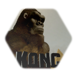 <term>Kong