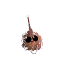 Bossmuro62