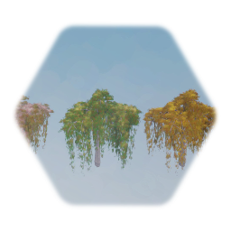 Weeping Japanese Cherry