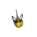Catkita