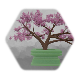 Bonsai - Japanese Cherry Tree with Jade Pot