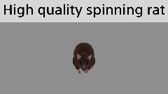 High Quality Spinning Rat