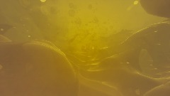 A screenshot taken in Dreams. 2 of 6.