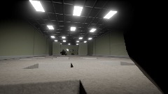 Backrooms Zonic The Hedgehog Edition Poolrooms