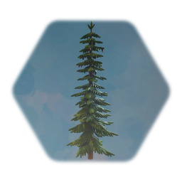 Viking - Fir Tree