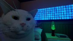 Cat Vibing To Megolovania