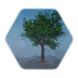 Textured Realistic Tree