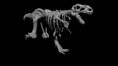 Rex Skeleton