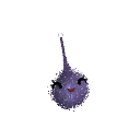 DonutTheAxolotll