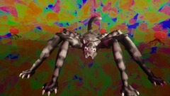 Wolf Spider Visualization