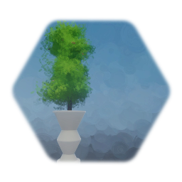 Tree in a pot