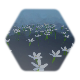 White Grass Lillies