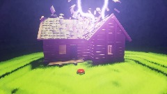 The Visitor