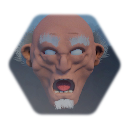 Practice realistic head