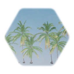 Maya Coconut Palm Tree