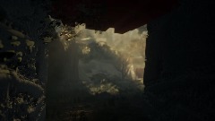 The Aftermath: New Dawn