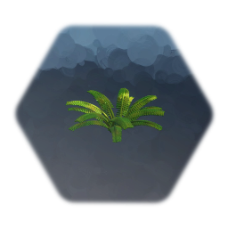 Fern