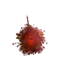 benkerfx