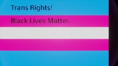 Trans Rights