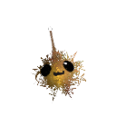 ThatManicDude