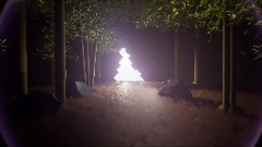 The Beauty of the Woods