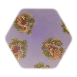 Sky realistic sunset