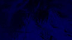 World 1 ending cutscene