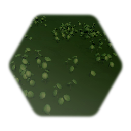 Low Leafy Plant Cluster