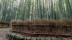 A screenshot taken in Dreams. 1 of 2.