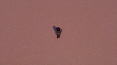 A screenshot taken in Dreams. 3 of 6.