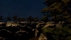 Realistic Forest