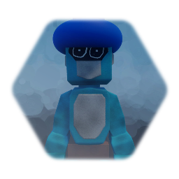 Echo