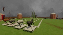 Horse Race