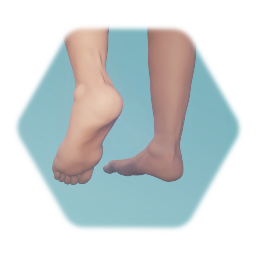 Feet (from the Ornithologist)