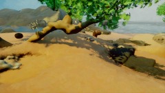 Free-Roam A Rad Beach