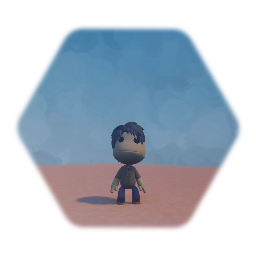 Sackboy