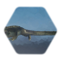 Crocodile