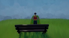 Robin gets attacked by a bird