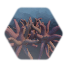 Finger Coral