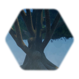 Khettavha Tree (In Fall With Aged Bark, and Moss)