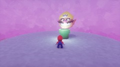 My 1995/07/29 Mario 64