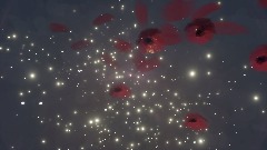 Poppies in Space