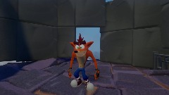 Crash twinsanity