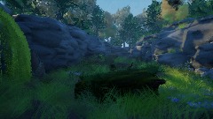 Forest Scene