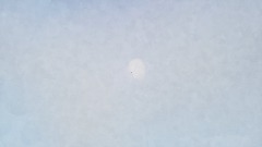 Friday Night Foundation menu